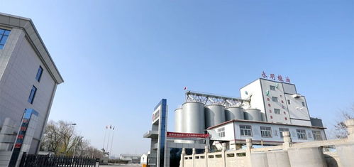 山東永明糧油擬在魯西南建設(shè)大型多功能面粉廠，助力區(qū)域農(nóng)業(yè)經(jīng)濟(jì)高質(zhì)量發(fā)展